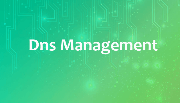 Dns Management