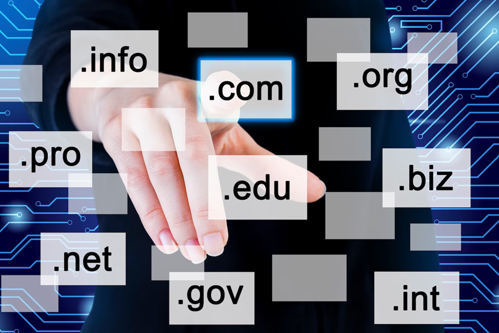 dns name management
